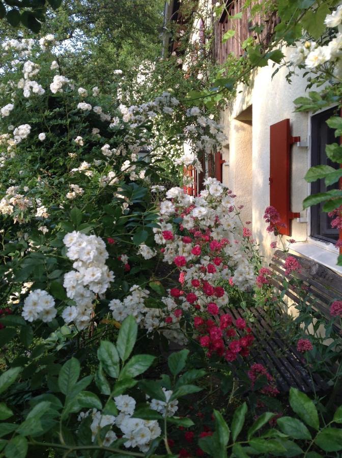 Haus Probst Am See Bed & Breakfast โชนดอร์ฟ อัม อัมแมร์ซี ภายนอก รูปภาพ