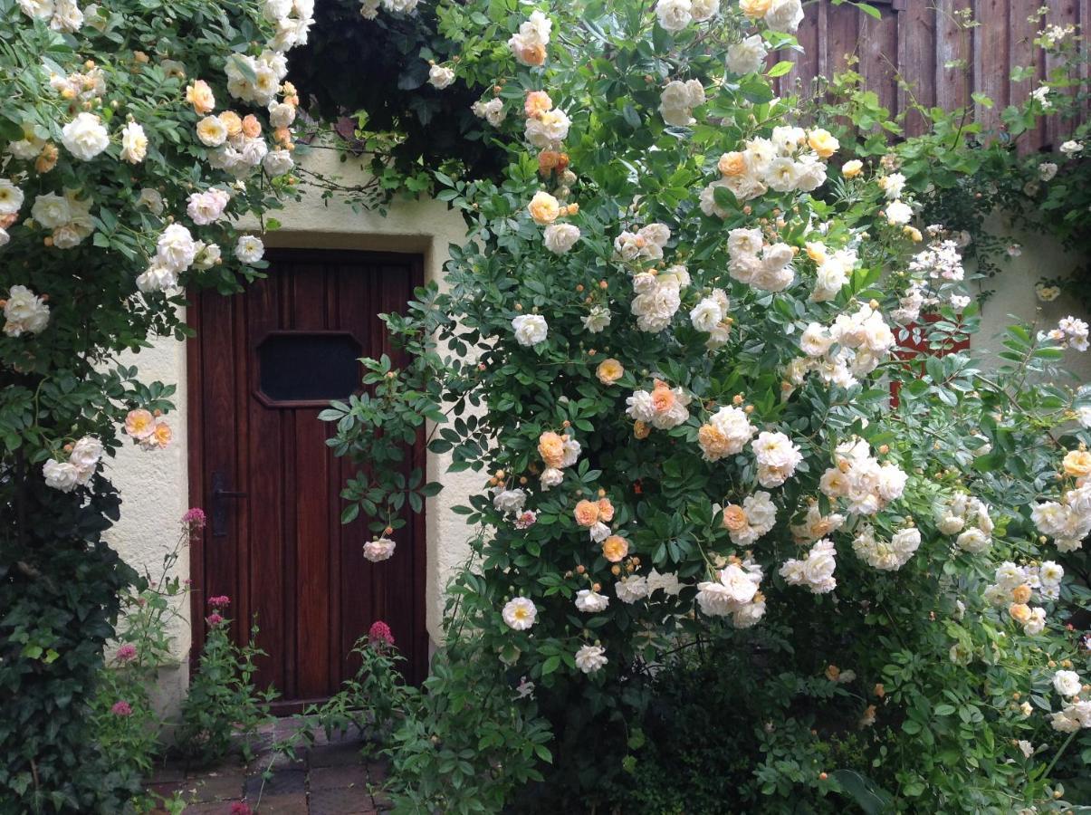Haus Probst Am See Bed & Breakfast โชนดอร์ฟ อัม อัมแมร์ซี ภายนอก รูปภาพ
